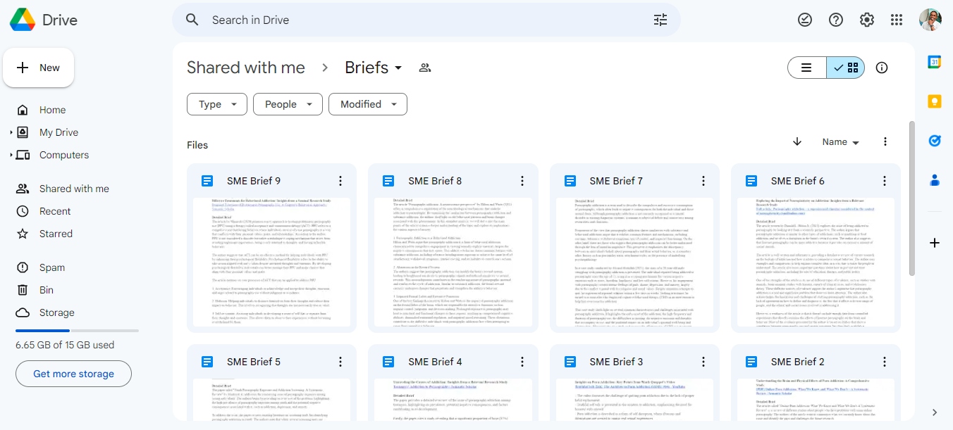 Google Drive workspace with SME brief documents